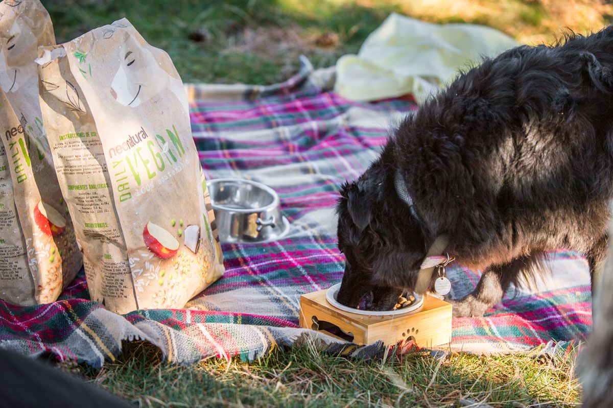 NeoNatural dona más de 200kgs de alimento para perros 100% vegetal por el Día Mundial de los Animales