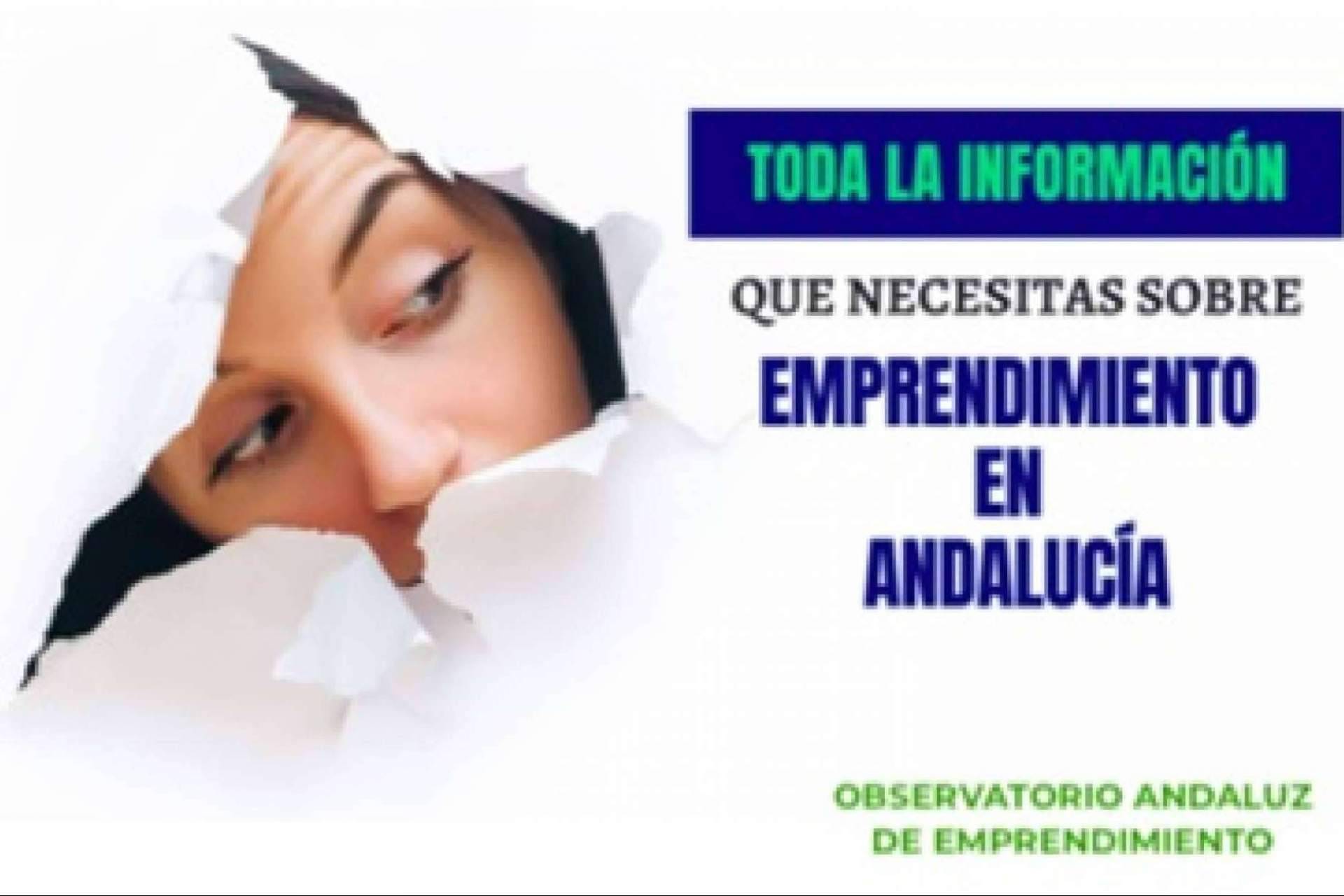 QMA Consultores digitaliza el observatorio andaluz del emprendimiento
