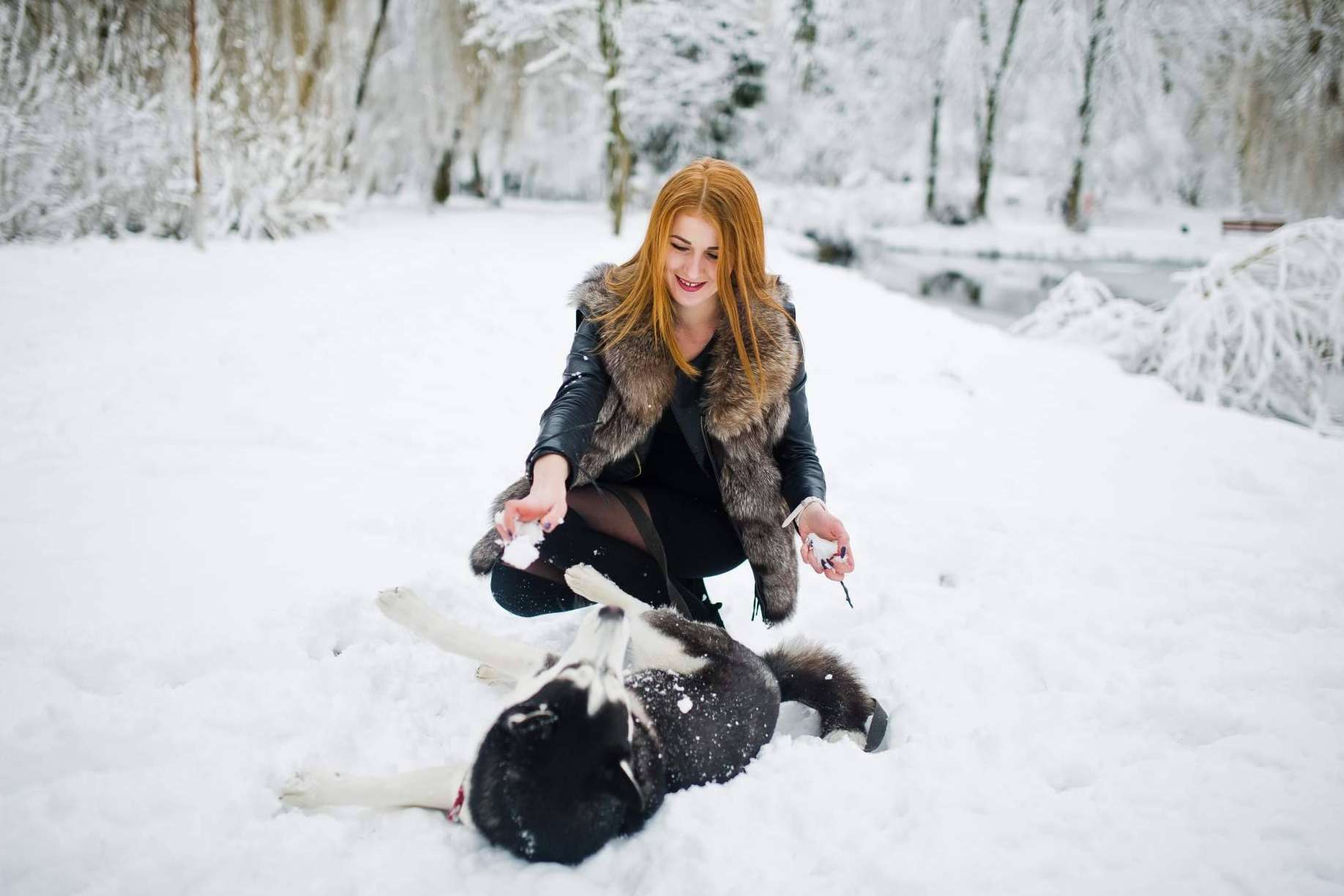 LovePets sobre los cuidados que requieren los perros de cara el invierno