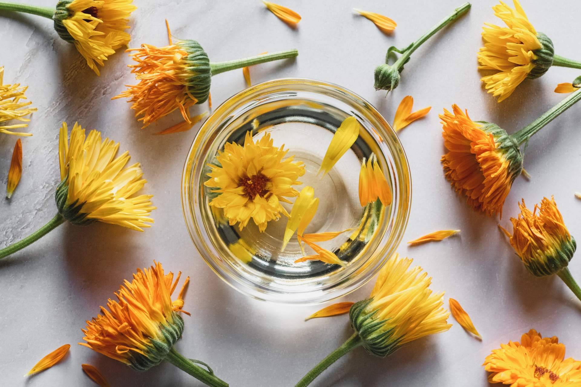 Theriac Wellness y su apuesta por cuidarse por dentro y por fuera a  través de sus productos de nutricosmética