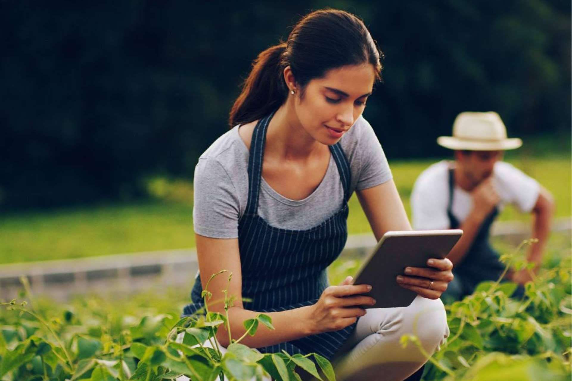 Share to Change una ONG que convierte proyectos sociales latinoamericanos en empresas sociales con proyección en Europa