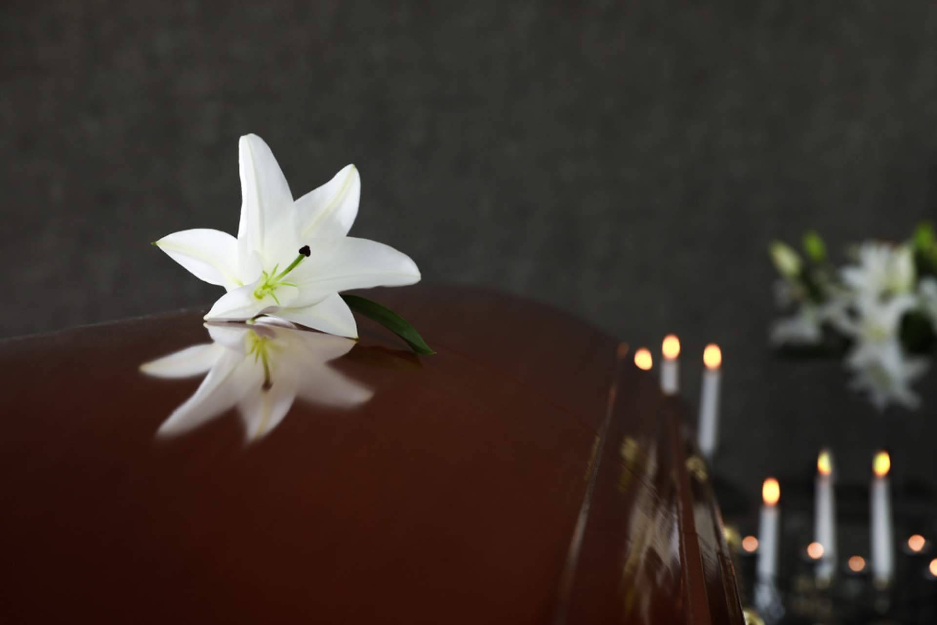 Las empresas funerarias y su avance en tecnología, por Gesmemori