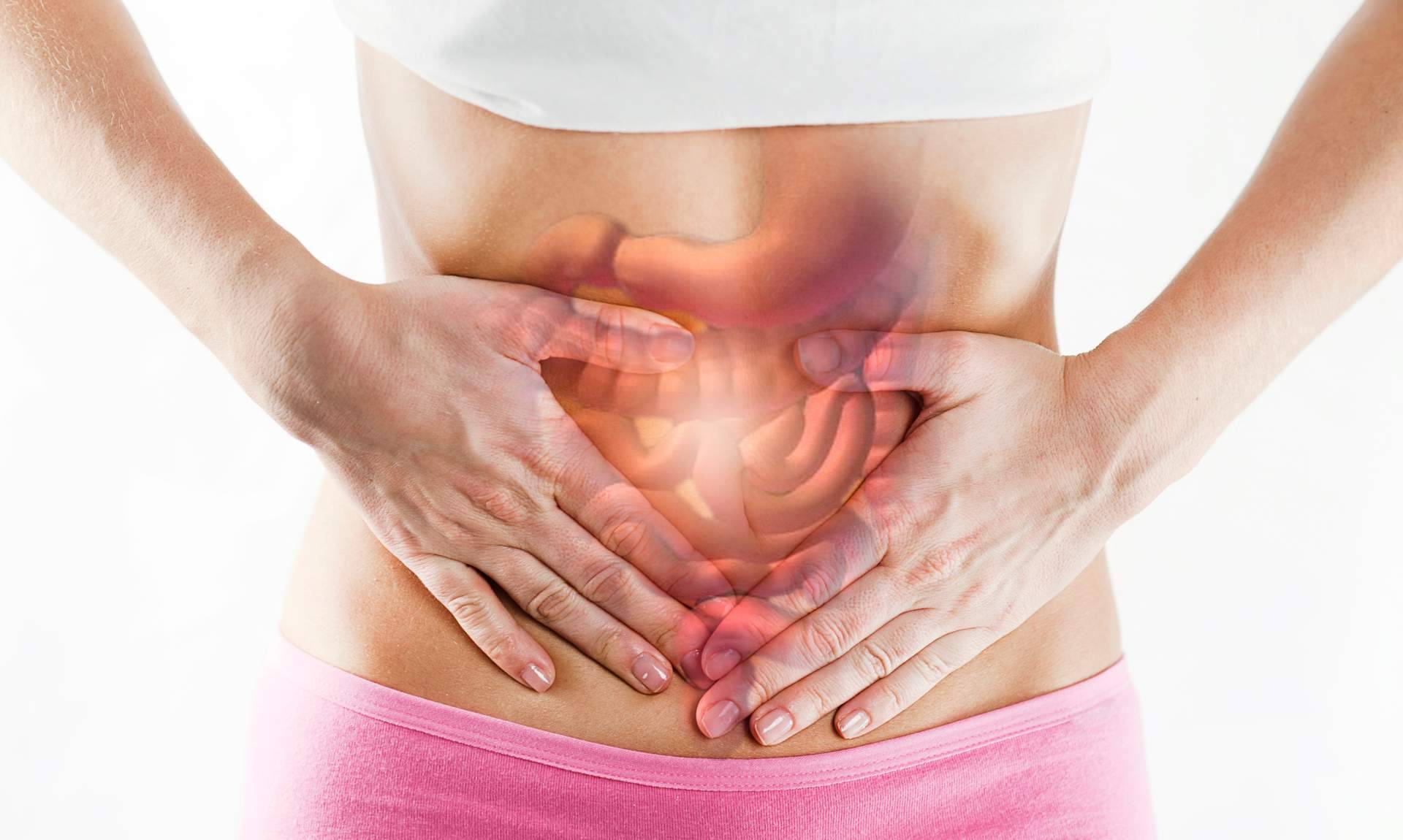 La leche de yegua ayuda a tratar trastornos intestinales, por eQuaid Research