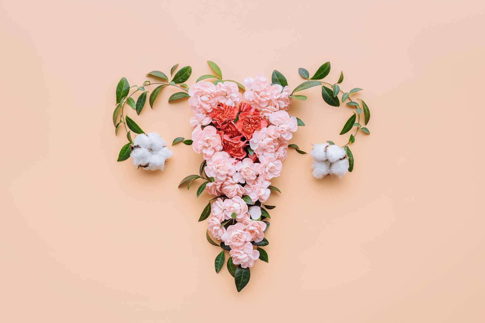 La necesidad de tener un abordaje multidisciplinar para la adenomiosis y endometriosis, por Carmen de Endosofía