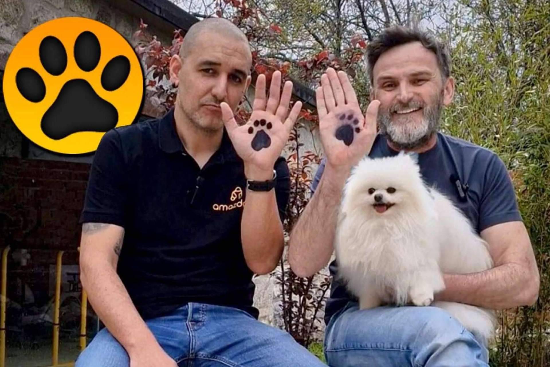El Reto Dogchallenge, lanzado por Amazdog