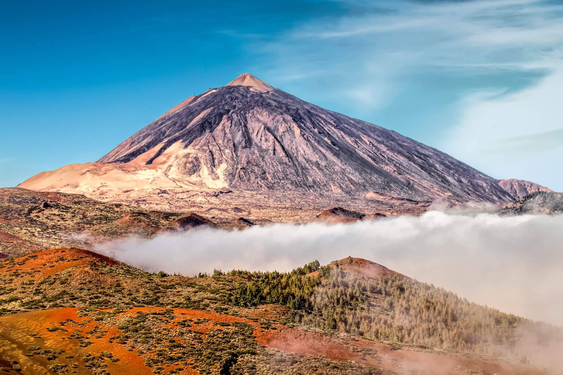Los paquetes de viaje todo incluido de canarias.com son ideales para vivir unas vacaciones sin preocupaciones