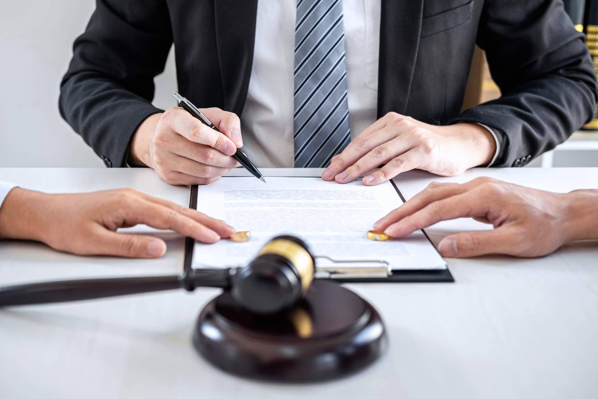 Custodia de mascotas en divorcios, entre lo legal y lo emocional