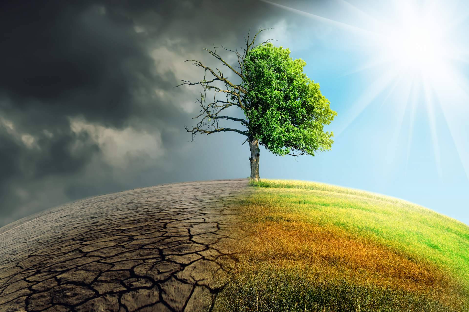 La iniciativa 'El Futuro es Clima' de Demos Lab propone medidas y acciones concretas para superar la crisis climática