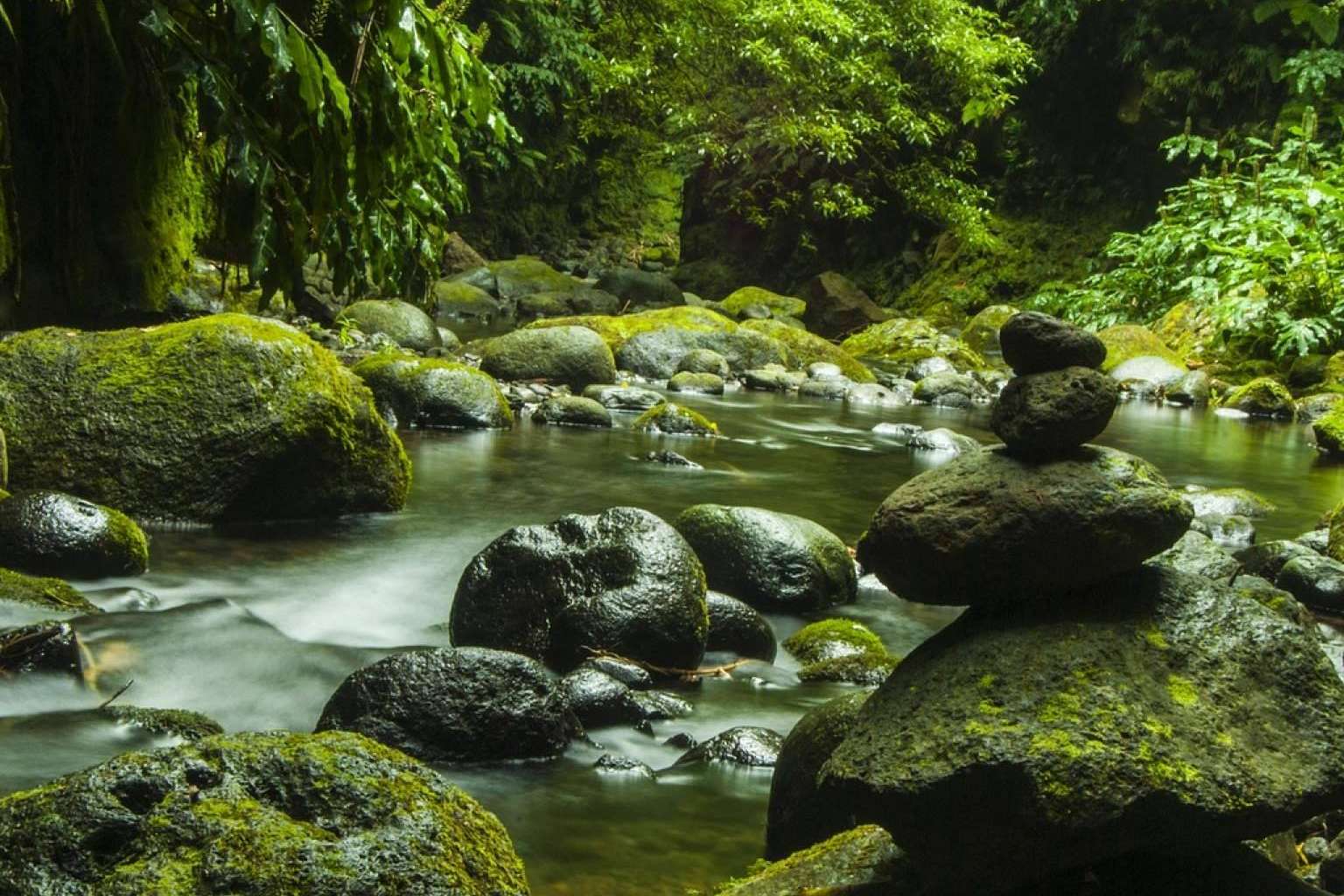 Lusoviajes lanza programas exclusivos a las Azores con vuelos directos y todo incluido