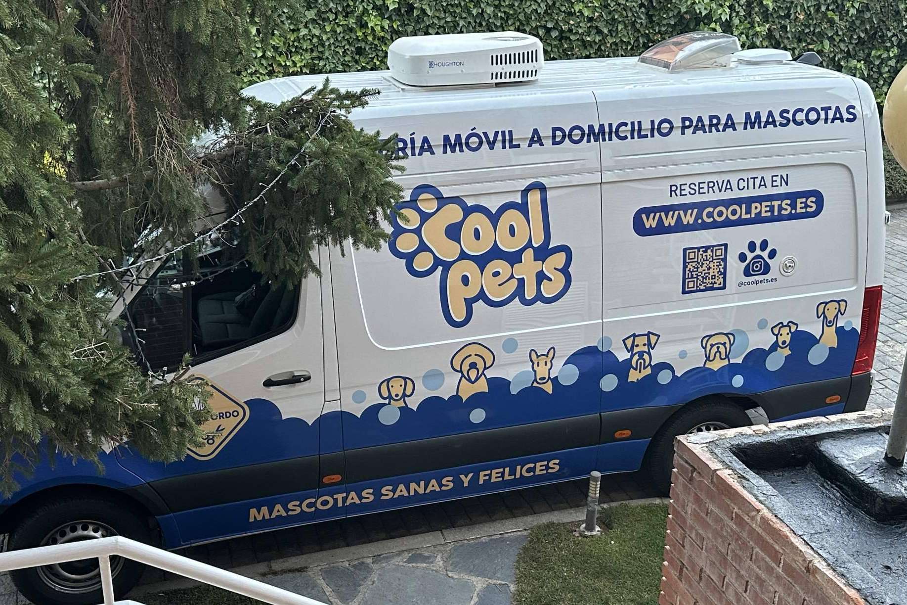 Cool Pets presenta su innovador servicio de peluquería móvil a domicilio para mascotas