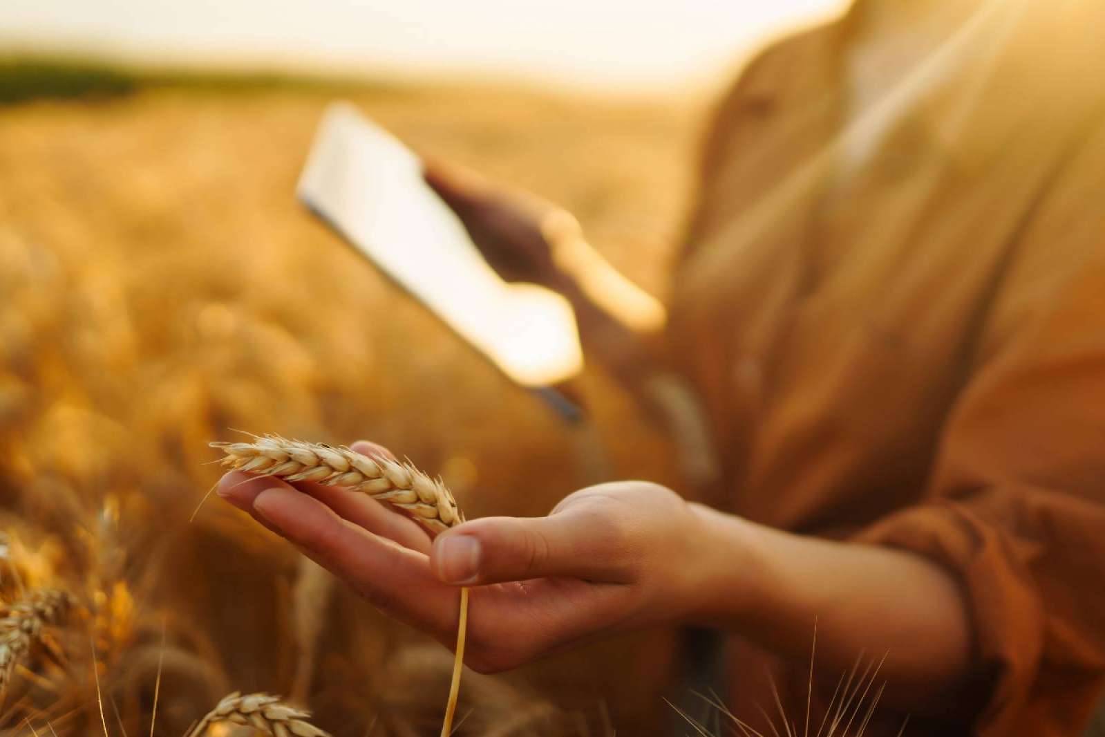 El SEPE contrata a Mainjobs la capacitación digital de más de 18.000 personas del ámbito rural