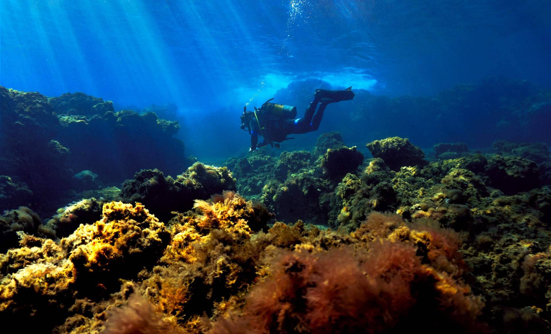 Diversidad y calidad marcan las excursiones Tenerife gestionadas por Canarias.com