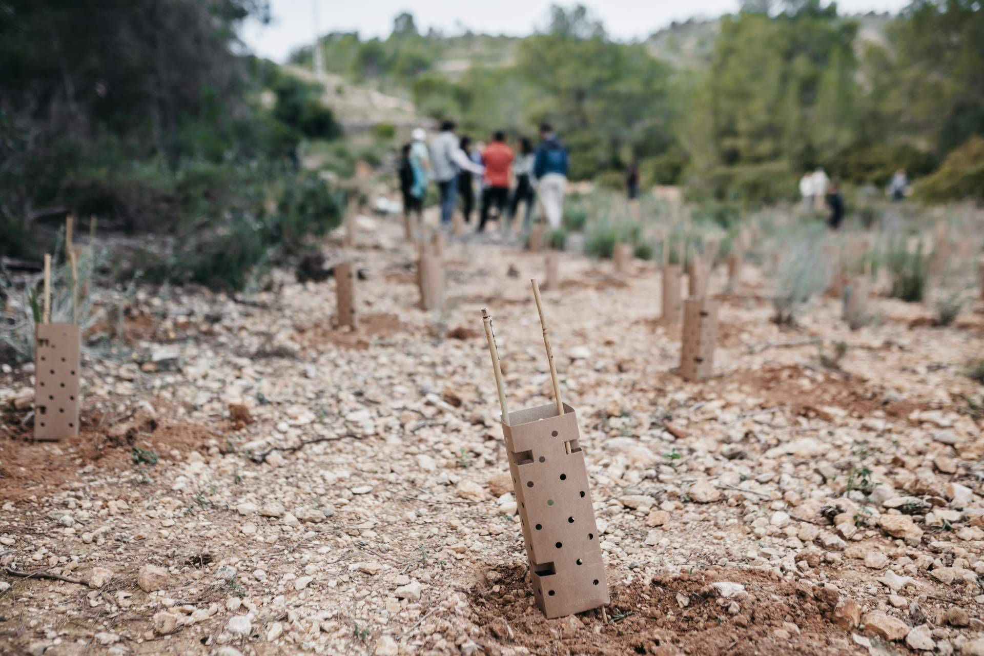 Bosquia avanza la reforestación de Pedralba con apoyo empresarial