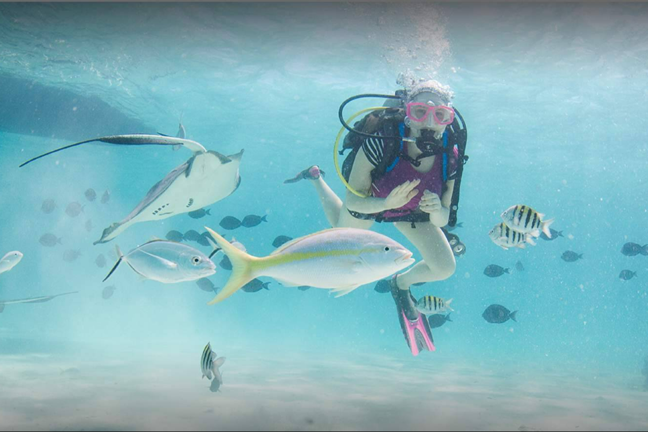 Islas Caimán debuta en Fitur para reforzar sus vínculos con la industria turística europea