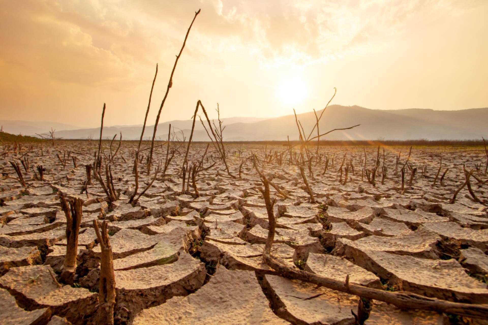Bancarrota hídrica en España; causas, señales y soluciones de ingeniería del agua