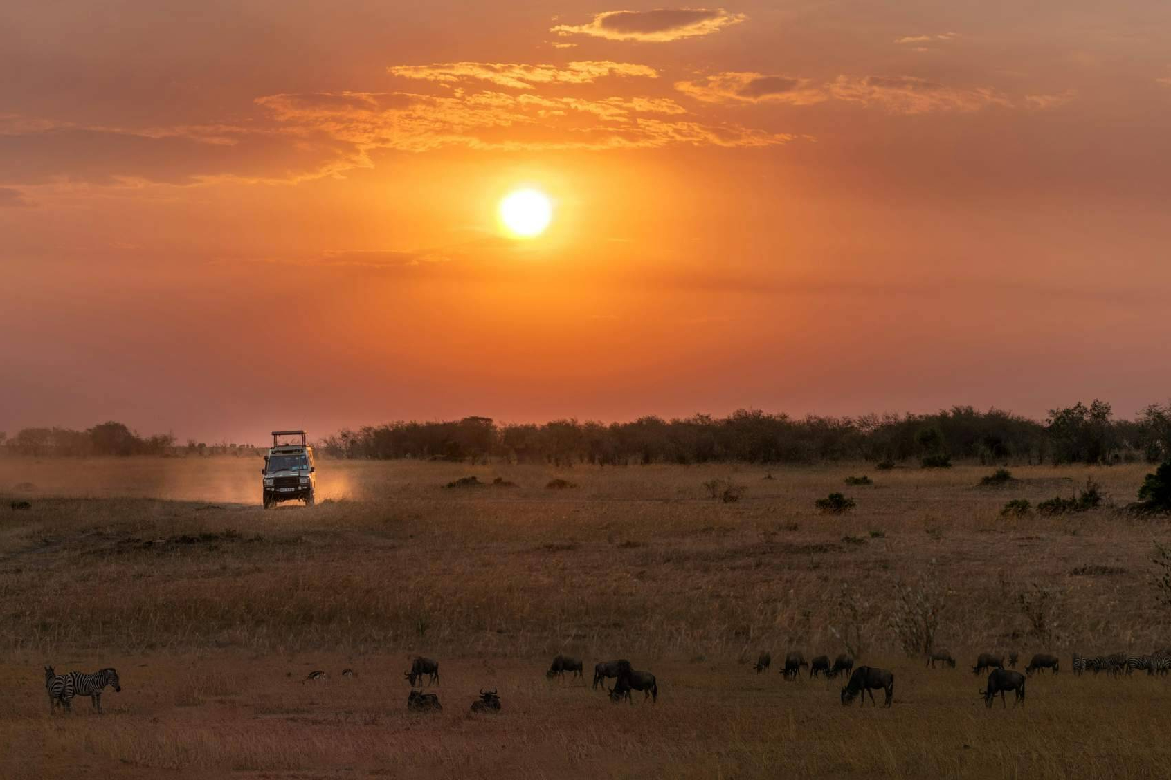 España se sitúa entre los principales mercados europeos interesados en safaris