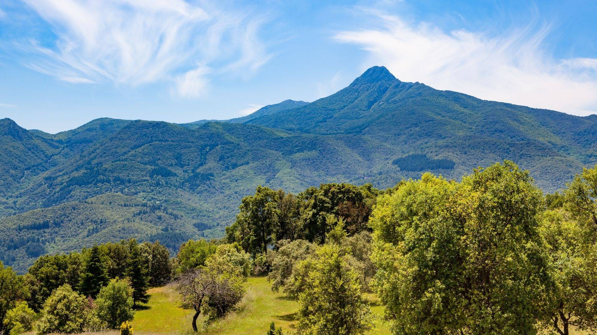 El Montseny, un destino perfecto para desconectar entre naturaleza, gastronomía y pueblos con encanto