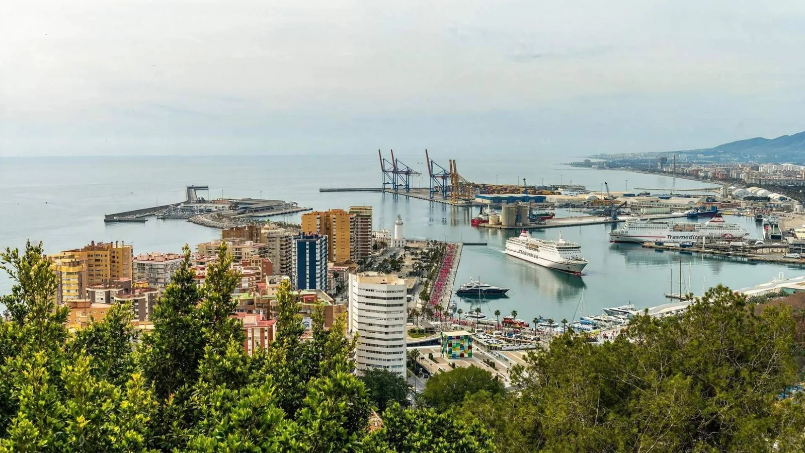 Málaga supera a Valencia y Palma en actividad de cruceros, pero se queda atrás como puerto de embarque
